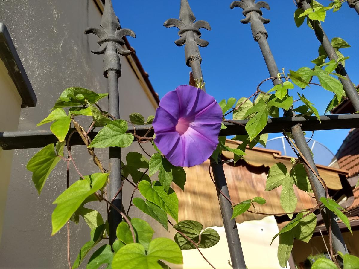 Pousada Castelinho Maricá Zewnętrze zdjęcie